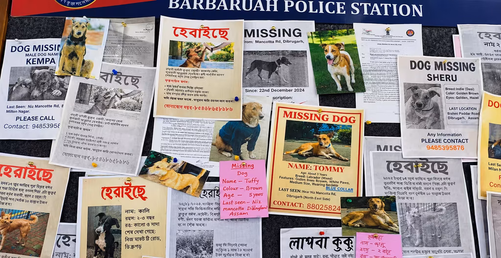 Ohh My Dog movie scene showing a wall at Barbaruah Police Station covered with missing dog posters, photographs, and notices in English and regional languages
